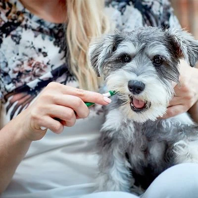 Vet's Best® Tandverzorging Set Voor Honden - Afbeelding 6