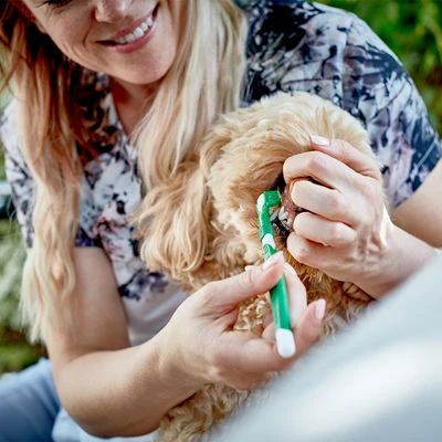 Vet's Best® Tandverzorging Set Voor Honden - Afbeelding 7